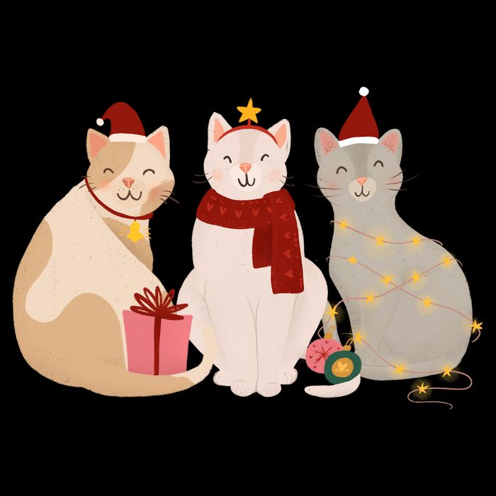 Catmas Cat Lover Cute Christmas Zip Tote Bag
