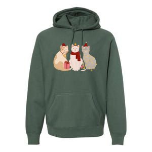 Catmas Cat Lover Cute Christmas Premium Hoodie