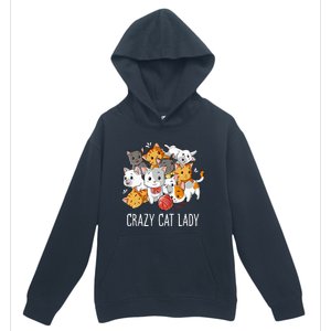 Crazy Cat Lady Funny Kitty Kitten Animal Lover Urban Pullover Hoodie