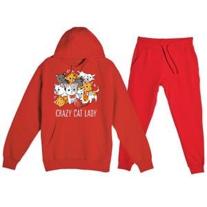 Crazy Cat Lady Funny Kitty Kitten Animal Lover Premium Hooded Sweatsuit Set