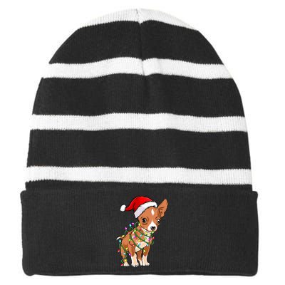 Chihuahua Christmas Lights Gift Funny Xmas Dog Lover Striped Beanie with Solid Band