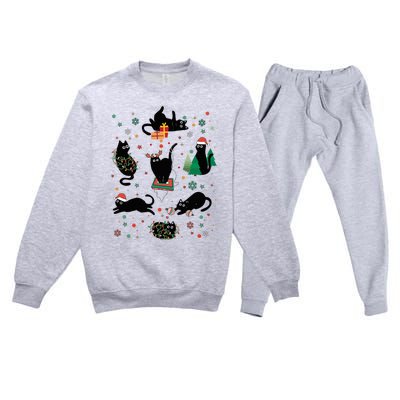 Cute Christmas Light Cat Funny Cat Lover Merry Christmas Premium Crewneck Sweatsuit Set