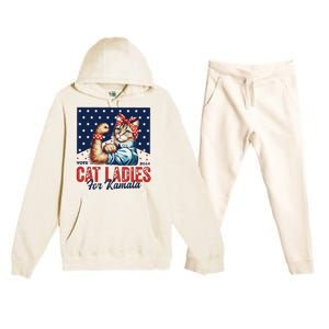 Childless Cat Ladies Premium Hooded Sweatsuit Set