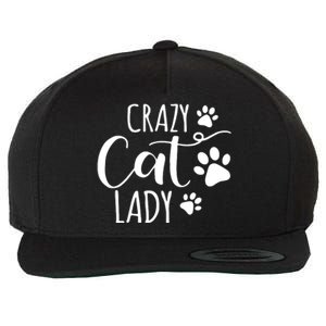 Crazy Cat Lady Funny Cat Meow For Men Women Love Cat Wool Snapback Cap