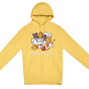 Crazy Cat Lady Funny Women Kitty Kitten Animal Lover Premium Pullover Hoodie