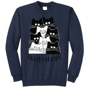 Crazy Cat Lady Funny Women Kitty Kitten Lover Cat Sweatshirt