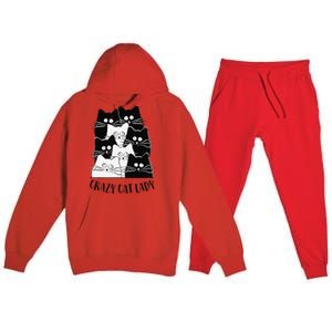 Crazy Cat Lady Funny Women Kitty Kitten Lover Cat Premium Hooded Sweatsuit Set