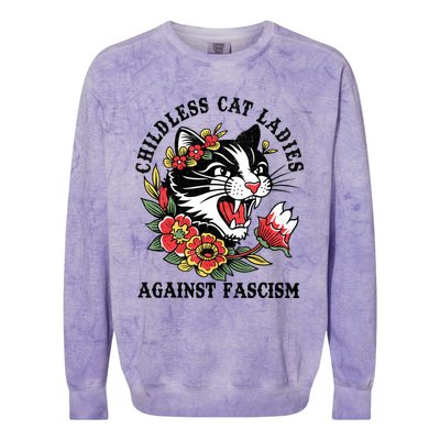 Childless Cat Ladies Voting Election 2024 Usa Vintage Colorblast Crewneck Sweatshirt