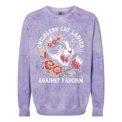 Childless Cat Ladies Against Fascism Vintage Colorblast Crewneck Sweatshirt