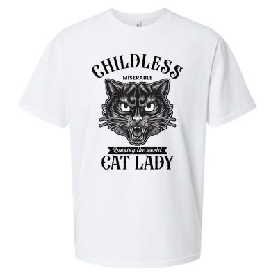 Childless Cat Lady Miserable Childless Cat Lady Kamala 2024 Sueded Cloud Jersey T-Shirt