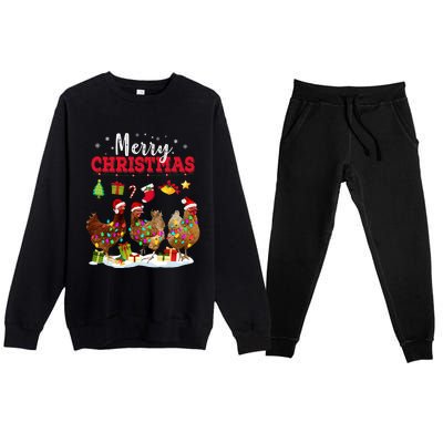 Chicken Christmas Lights Merry Xmas Family Matching Pajama Premium Crewneck Sweatsuit Set