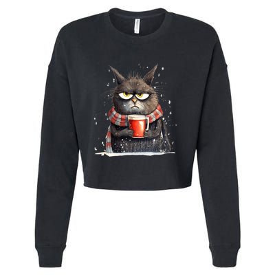 Christmas Cat Mulled Wine Cropped Pullover Crew