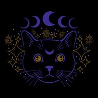 Celestial Cat Moon Phases Anime Witch Whimsigoth Aesthetic Meaningful Gift Cooling Performance Crew T-Shirt