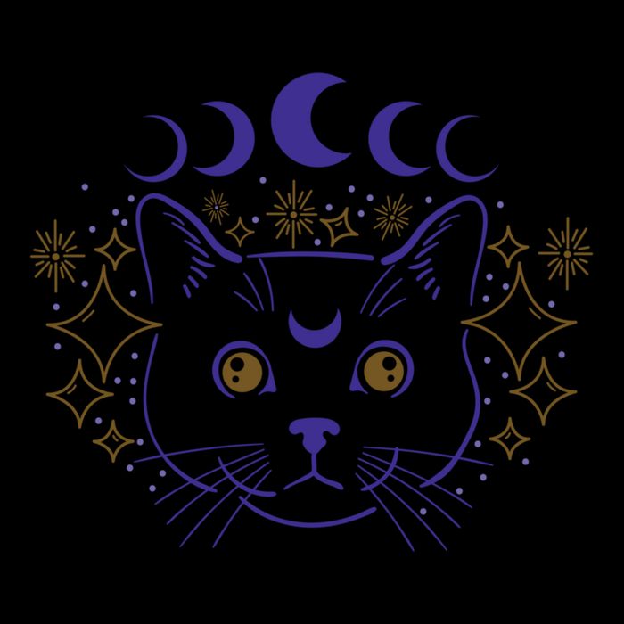 Celestial Cat Moon Phases Anime Witch Whimsigoth Aesthetic Meaningful Gift Cooling Performance Crew T-Shirt