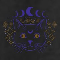 Celestial Cat Moon Phases Anime Witch Whimsigoth Aesthetic Meaningful Gift Adult Drive Performance Visor