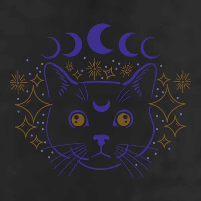 Celestial Cat Moon Phases Anime Witch Whimsigoth Aesthetic Meaningful Gift Adult Drive Performance Visor