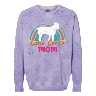 Cane Corso Mom Gift Cane Corso Dog Meaningful Gift Colorblast Crewneck Sweatshirt