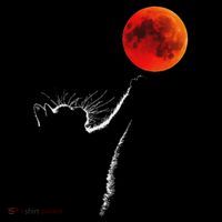 Curious Cat Meets The Blood Moon Lunar Eclipse 14 March 2025 Hoodie