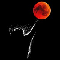 Curious Cat Meets The Blood Moon Lunar Eclipse 14 March 2025 Drawstring Bag