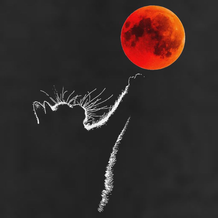 Curious Cat Meets The Blood Moon Lunar Eclipse 14 March 2025 Large Microfiber Waffle Golf Towel