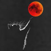 Curious Cat Meets The Blood Moon Lunar Eclipse 14 March 2025 Microfiber Hand Towel