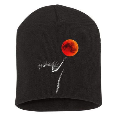 Curious Cat Meets The Blood Moon Lunar Eclipse 14 March 2025 Short Acrylic Beanie