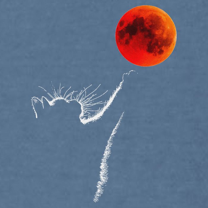 Curious Cat Meets The Blood Moon Lunar Eclipse 14 March 2025 Garment-Dyed Sweatshirt