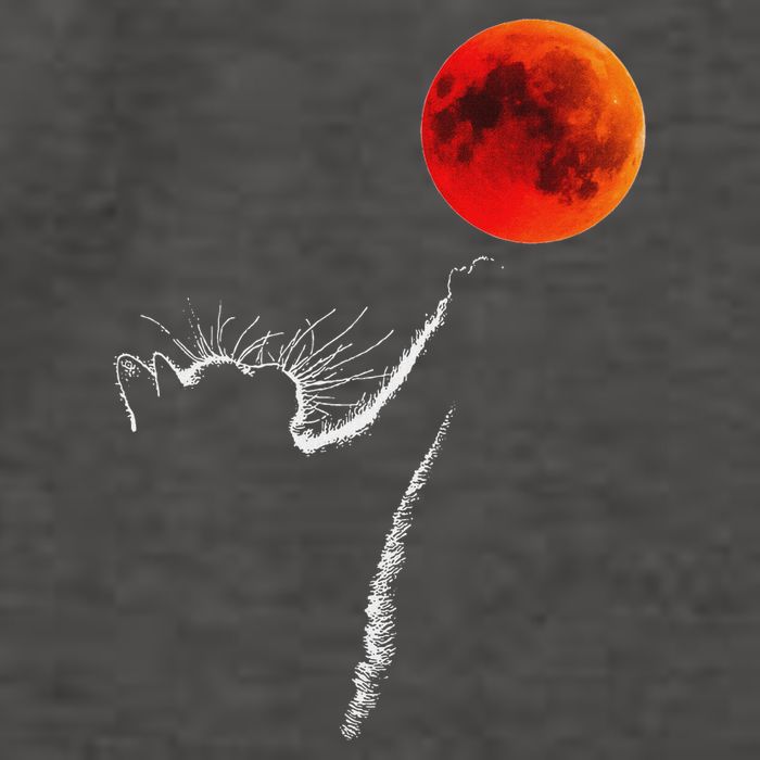 Curious Cat Meets The Blood Moon Lunar Eclipse 14 March 2025 Vector Backpack