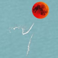 Curious Cat Meets The Blood Moon Lunar Eclipse 14 March 2025 Sueded Cloud Jersey T-Shirt