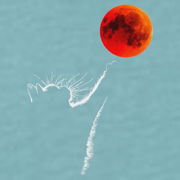 Curious Cat Meets The Blood Moon Lunar Eclipse 14 March 2025 Sueded Cloud Jersey T-Shirt