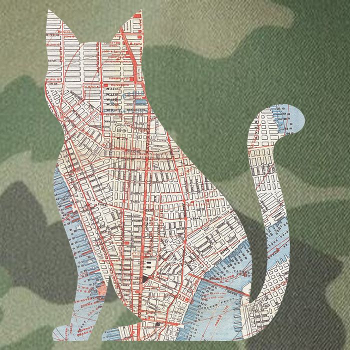 City Cat Map Design Unusual Legacy Tie Dye Trucker Hat