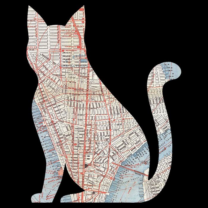 City Cat Map Design Unusual Sustainable Knit Beanie