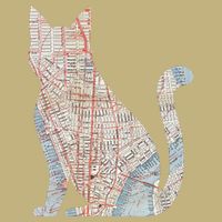 City Cat Map Design Unusual Long Sleeve Shirt
