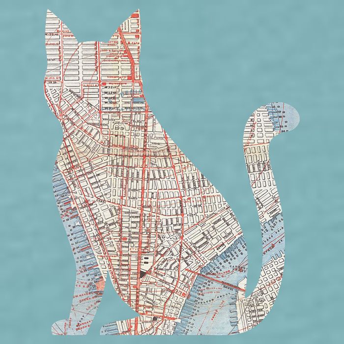 City Cat Map Design Unusual Sueded Cloud Jersey T-Shirt