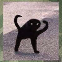 Cursed Cat Memes Cursed Cat Angry As Fuk Meme Legacy Tie Dye Trucker Hat
