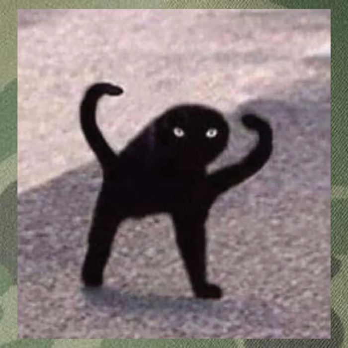 Cursed Cat Memes Cursed Cat Angry As Fuk Meme Legacy Tie Dye Trucker Hat