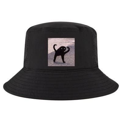 Cursed Cat Memes Cursed Cat Angry As Fuk Meme Cool Comfort Performance Bucket Hat