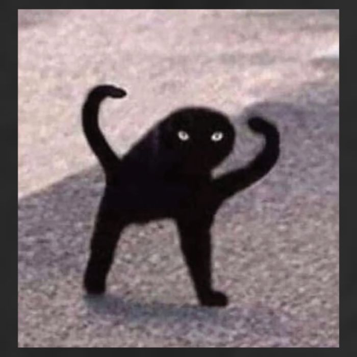 Cursed Cat Memes Cursed Cat Angry As Fuk Meme Garment-Dyed Fleece Hoodie