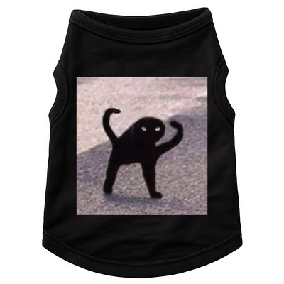 Cursed Cat Memes Cursed Cat Angry As Fuk Meme Doggie Tank