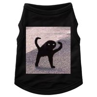 Cursed Cat Memes Cursed Cat Angry As Fuk Meme Doggie Tank