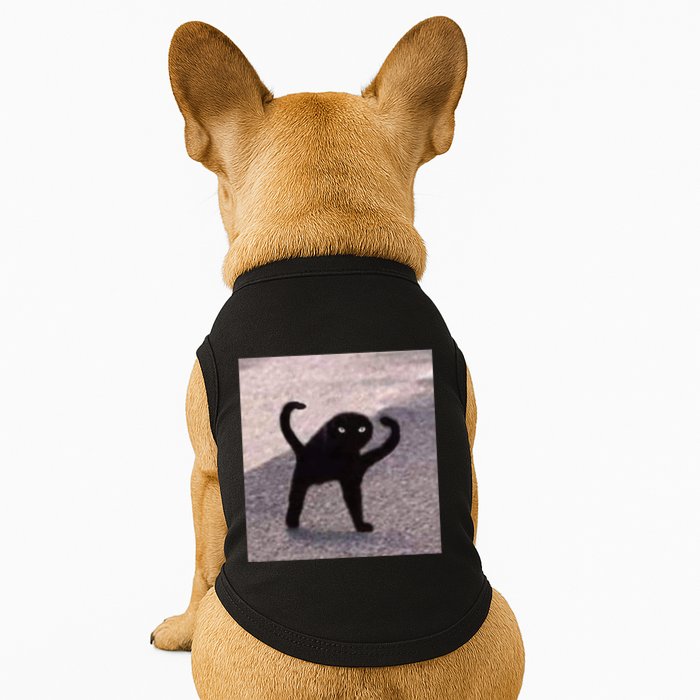 Cursed Cat Memes Cursed Cat Angry As Fuk Meme Doggie Tank