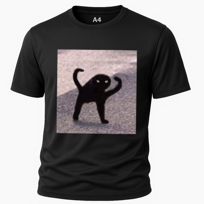 Cursed Cat Memes Cursed Cat Angry As Fuk Meme Performance Shirt