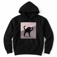 Cursed Cat Memes Cursed Cat Angry As Fuk Meme Hoodie
