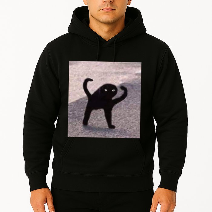 Cursed Cat Memes Cursed Cat Angry As Fuk Meme Hoodie