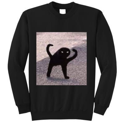 Cursed Cat Memes Cursed Cat Angry As Fuk Meme Sweatshirt