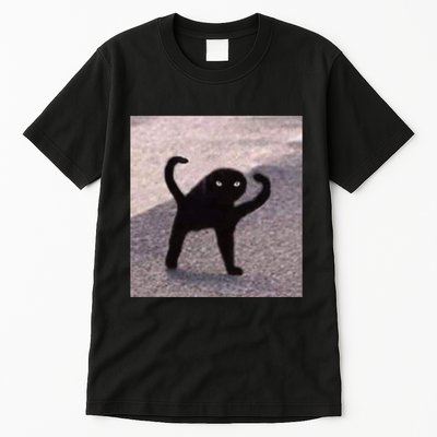 Cursed Cat Memes Cursed Cat Angry As Fuk Meme Tall T-Shirt