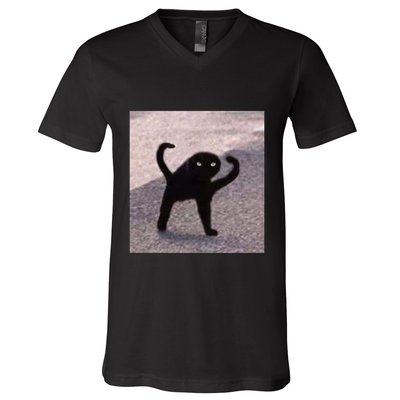 Cursed Cat Memes Cursed Cat Angry As Fuk Meme V-Neck T-Shirt