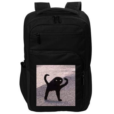 Cursed Cat Memes Cursed Cat Angry As Fuk Meme Impact Tech Backpack