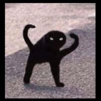 Cursed Cat Memes Cursed Cat Angry As Fuk Meme Button