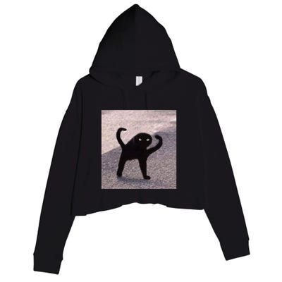 Cursed Cat Memes Cursed Cat Angry As Fuk Meme Crop Fleece Hoodie
